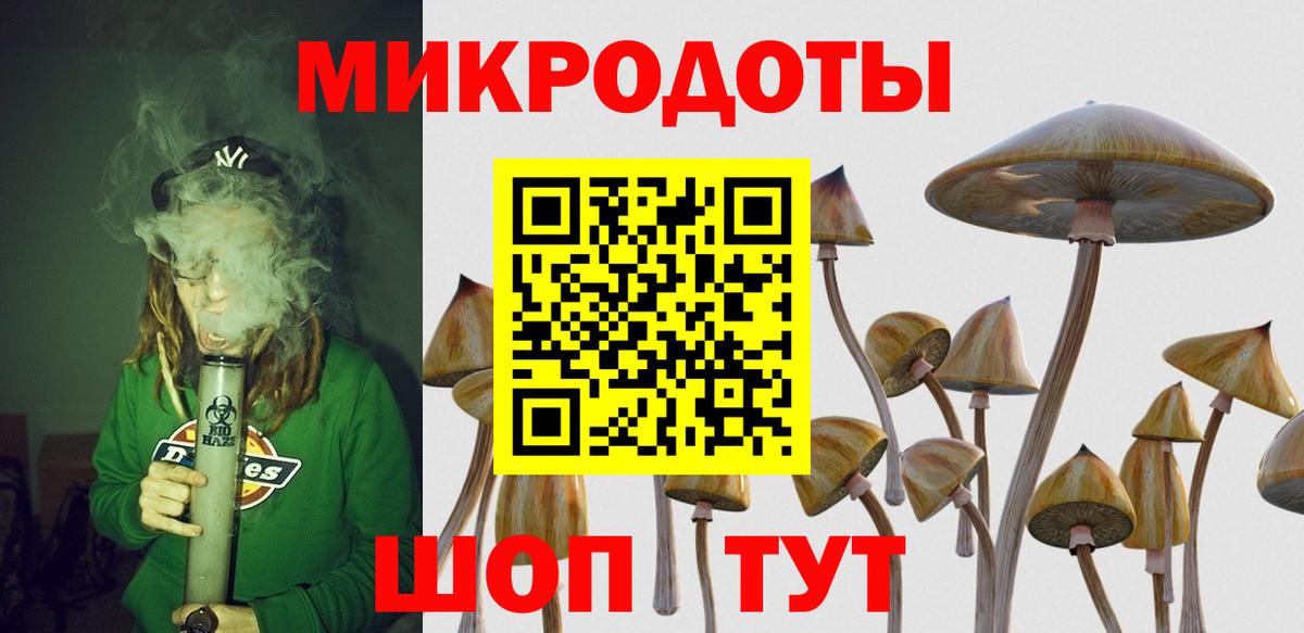 Владимир  продажа наркотиков  Вход с VPN  Галлюциногенные грибы GOLDEN TEACHER 